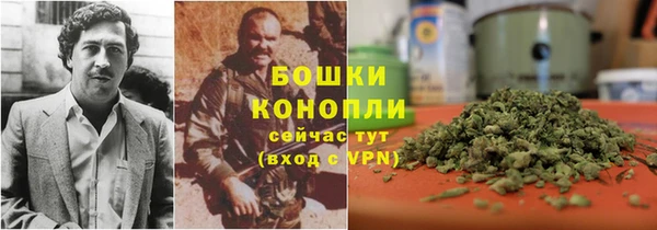 МДПВ Лиски