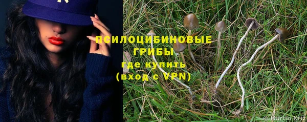 тгк Лихославль