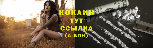 тгк Лихославль