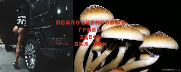 МДПВ Лиски