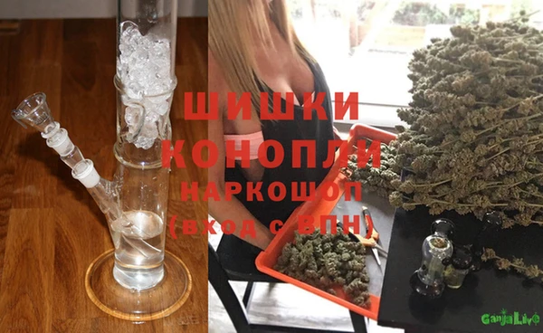 МДПВ Лиски
