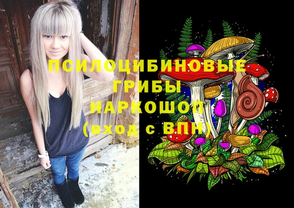 МДПВ Лиски