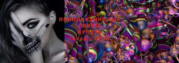 ПСИЛОЦИБИНОВЫЕ ГРИБЫ Майский