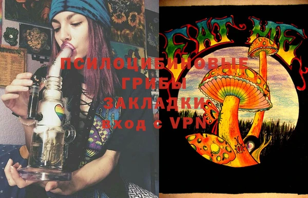 ПСИЛОЦИБИНОВЫЕ ГРИБЫ Майский