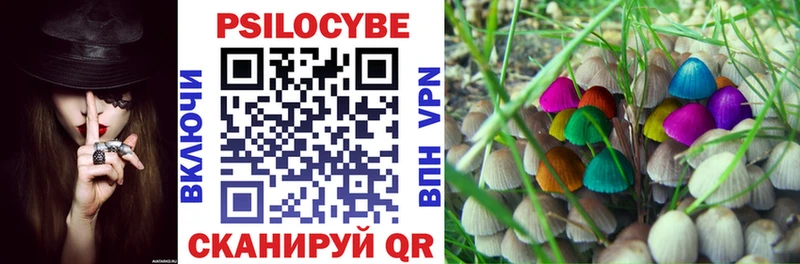 Купить закладки  Сенгилей  Псилоцибиновые грибы Cubensis 